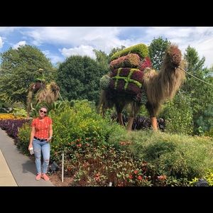 Meet your Posher, Andreea